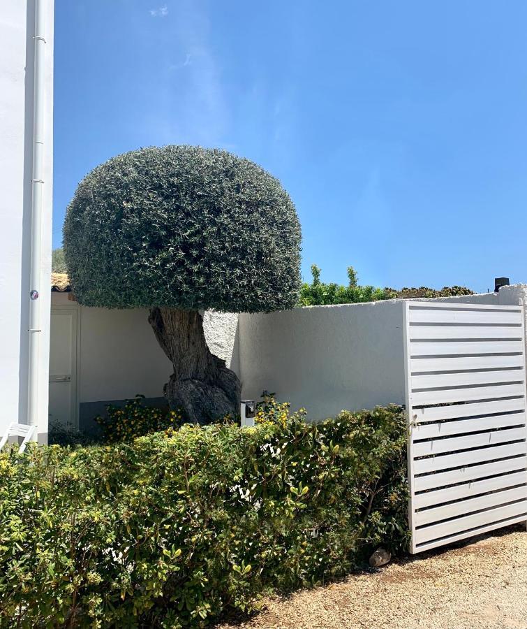 Sun Of Sicily Bed & Breakfast