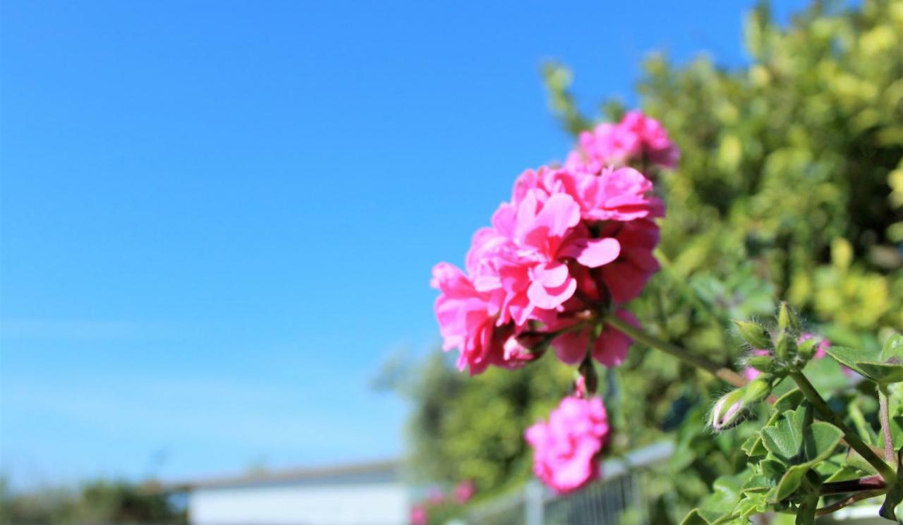 Sun Of Sicily Bed & Breakfast *